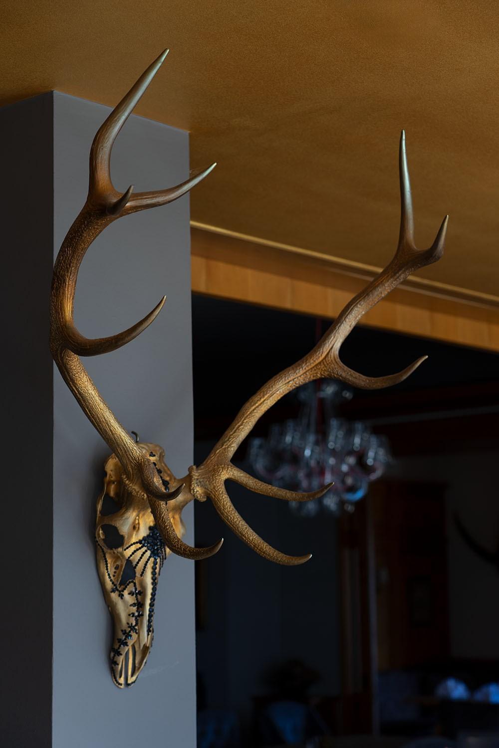 Wildauers Haidenhof Stay & Sleep Lienz Bagian luar foto